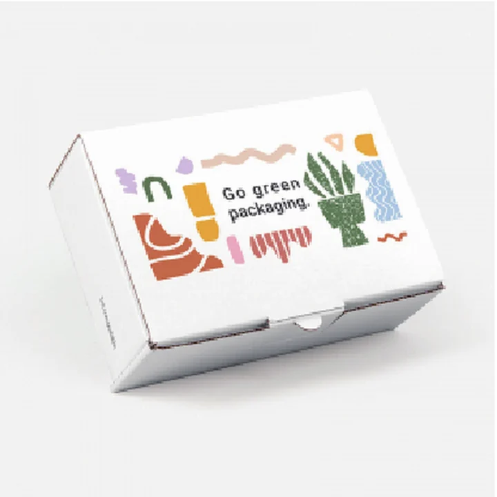 Printed mailer box